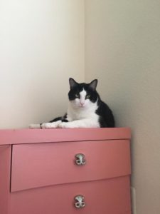 Employee’s At Home “Co-Workers and Helpers”